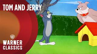 Download lagu Tom and Jerry | Mega Compilation | Vol. 10 | The Spike Series | Warner Classics mp3 Download lagu Tom and Jerry | Mega Compilation | Vol. 10 | The Spike Series | Warner Classics mp3