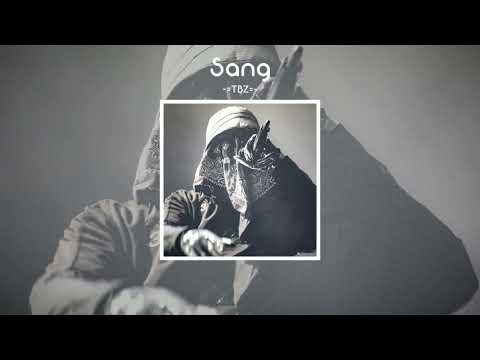 [FREE] Ziak x 1pliké140 x Gambino La MG Type Beat - "Sang" | Afro / Drill Instrumental 2023