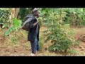 Siri Regular By Spice Diana Challenge Kiberenge Comedy Group