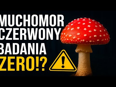 Muchomor czerwony 🍄 fascynuje, ale nauka wciąż BOI SIĘ go badać❗❓ 🔬🧪🔥