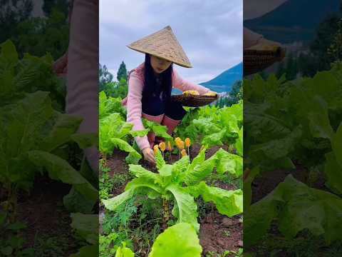 Makanan muncul di kebun, endingnya bikin hangat ☺️ #shorts #viral