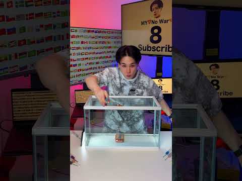 POV X BTS WAIT… 13 COLORS, DIFFERENT ANGLE → CLEAN PURPLE?! ❤️🧡💛💚💙🩵💜💗🤎🖤🤍💙💛➡️💜🤯🎬