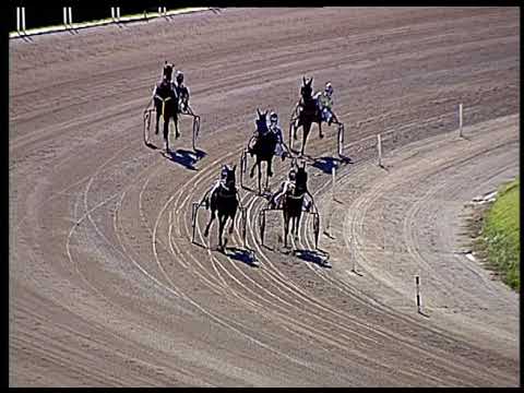 Trotto 18/06/2020 - 1ª prova di qualifica