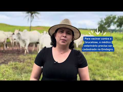 Brucelose dá prejuízo. Vacinação dá resultado!