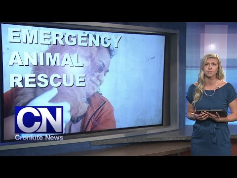 July 8, 2021 Newscast | Cronkite News