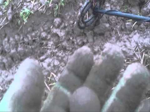 Moje Wykopki (Odc. 24)