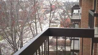 preview picture of video '1695 Second St., Highland Park, IL 1 BR, 1 Bth In Town Condo'