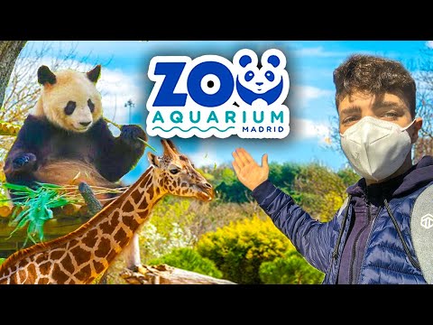 image-Are there any zoos in Spain?