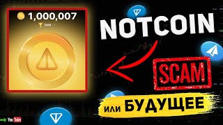 Notcoin Token Breakdown — Full Breakdown & Transcript