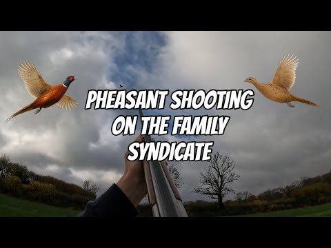 PHEASANT SHOOTING | the family syndicate 