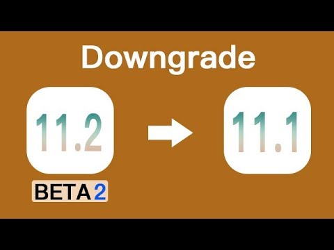 Downgrade iOS 11.2 Beta 2 without iTunes. Just One Click. Works Flawlessly