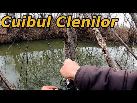 Am Pescuit Clean la Gume pe Pârâul Sălbatic.