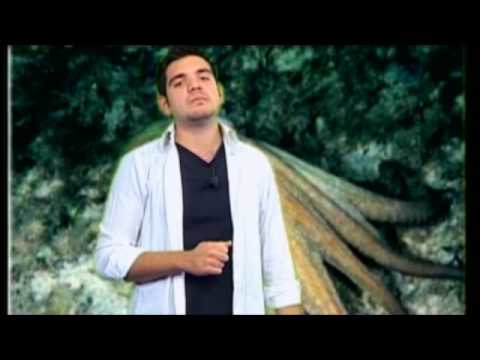 Il Ciuccio che vola - Giggino la bolletta, Romina Parisi  e Mariachiara Vigoriti