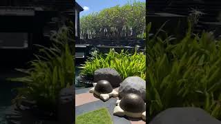 Download lagu #bali #indonesia #balikpapan #shorts 9 mp3 Download lagu #bali #indonesia #balikpapan #shorts 9 mp3