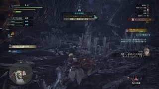 ネルギガンテ　睡眠時　プロト溜3　ハンマー