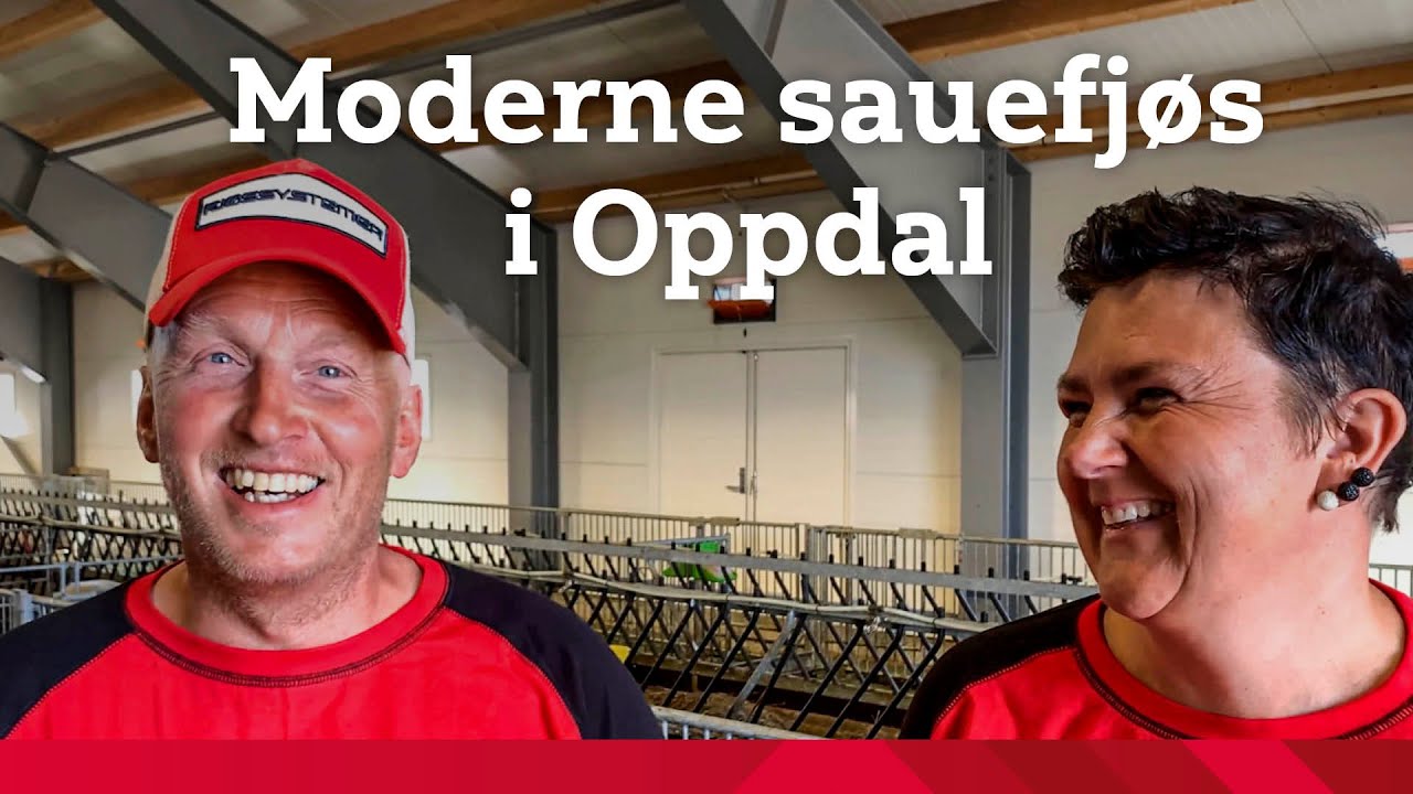 Moderne og praktisk sauefjøs på Oppdal