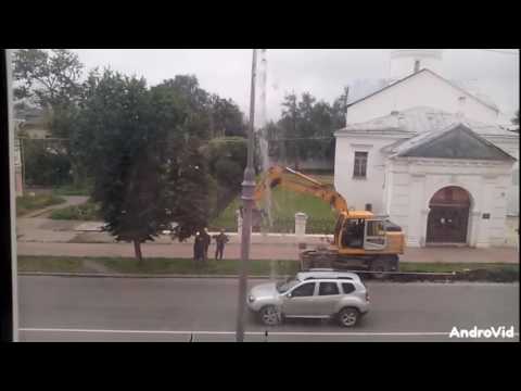 Видео: в Великом Новгороде бульдозер сломал, а затем «починил» дерево