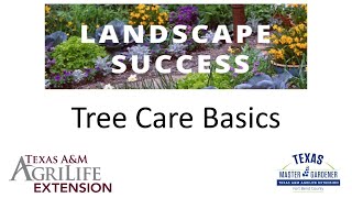 Tree Care Basics (06.27.2025)