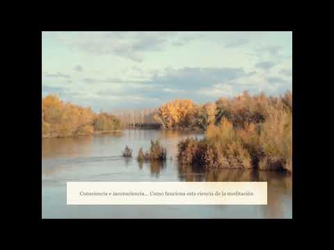 Consciencia e Inconsciencia