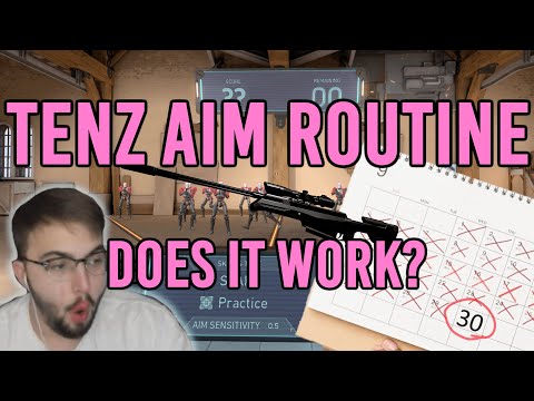 I aim trained like TenZ for 30 Days. This is what happened.