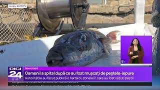 Măsurile anunțate de Grecia împotriva peștelui-iepure, după ce 148 de oameni au fost mușcați