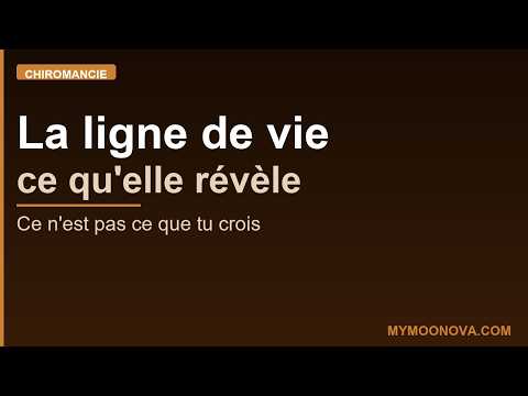 La ligne de vie
