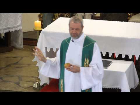 Homilia Pe.Félix 07/07/2013 - 14º DOM.TEMPO COMUM