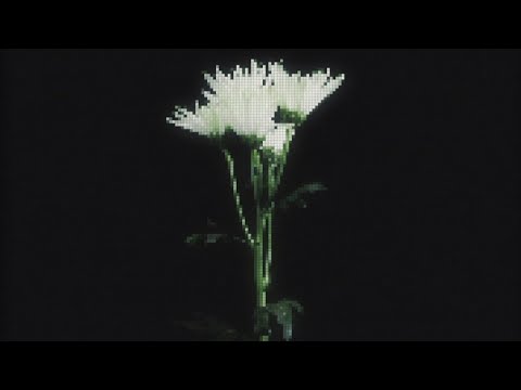 SAY3AM, staarz - Broken Trust (slowed down)