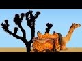 The Thar Desert Deserts And Life Special Documentaries HD