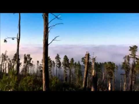 76 Manantial de inspiración - Cuando mi señor me tocó