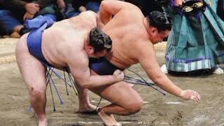 🚨📈【衝撃】名古屋場所が日本経済の未来を予言！？懸賞金が史上最高で景気拡大のサインか！💴🏆🔥