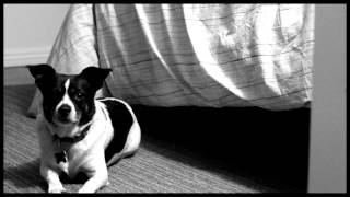 Beside You - Phildel (The Disappearance of the Girl)