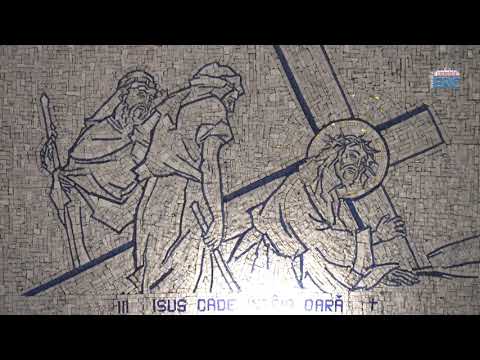 Iași (catedrală): Calea sfintei cruci cu tineri (5 aprilie 2020)