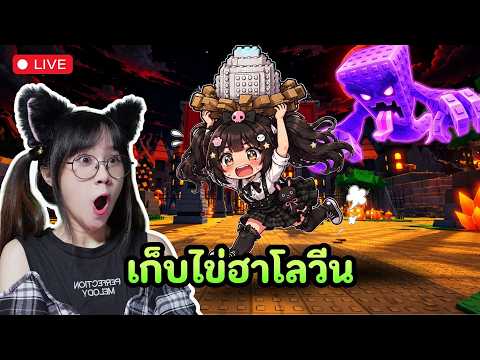 LIVE : กลับมาขโมยไข่ให้ FC | Roblox