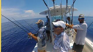 Florida West Coast Fishing Adventure
