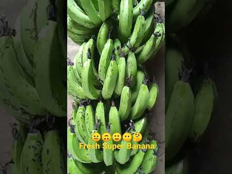 Big Fresh Bananas #Shorts