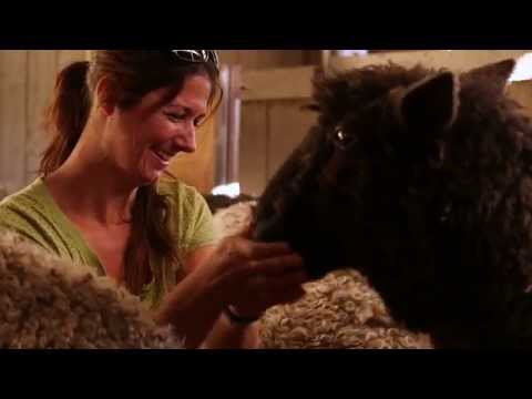 Abra Marketing video.