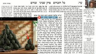 דף יומי מסכת זבחים דף עד Daf yomi Masechet Zevachim page 74  ע"י יוני גוטמן (שיעורי הדף היומי ב-20 דקות – מועבר ע"י ר' יוני גוטמן – לעילוי נשמת אביו ר' אלימלך צבי (צביקה) גוטמן ז"ל) - התמונה מוצגת ישירות מתוך אתר האינטרנט יוטיוב. זכויות היוצרים בתמונה שייכות ליוצרה. קישור קרדיט למקור התוכן נמצא בתוך דף הסרטון