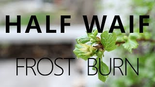 The Key Presents: Half Waif - Frost Burn