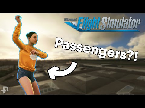 How crazy are these passengers in Microsoft Flight Simulator?!