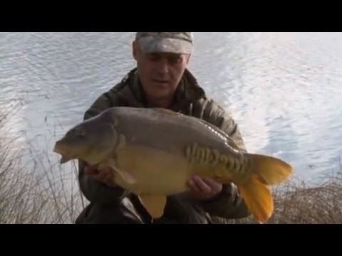 Carp fishing with Dave Lane Part 1 from TF Gear