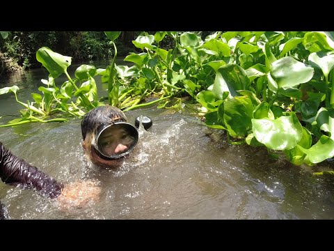 SE02EP76 Part 2 - PANINIBAT sa MALAWAK at MAHABA na LAYON | San Pablo City, Laguna