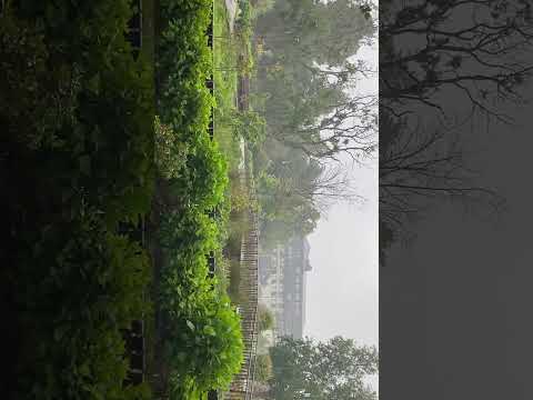 Pucón un día lluvioso ☔️🌧️#rainsounds #pucon #araucania #chile #shorts #lluvia