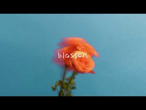 The Summer Set - "Back Together" Official Audio