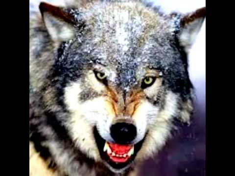 MUHTEŞEM #JÖH-PÖH KLİBİ