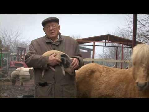 Klapka kampányfilm a Kisgazdáknak