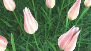 Chakra Cleansing Meditation