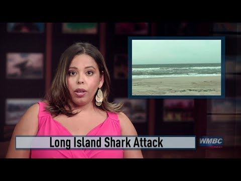 Long Island Shark Attack
