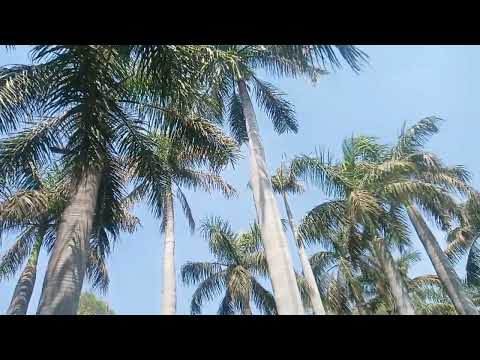 Delhi University #delhi #delhiuniversity