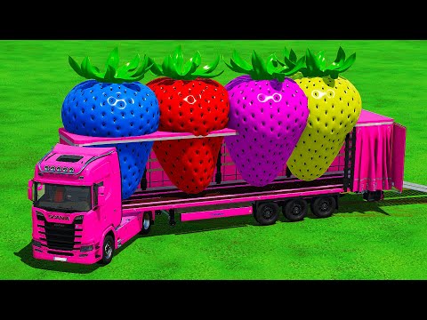 TRANSPORTING COLORED STRAWBERRIES & SUPERCARS with JOHN DEERE TRACTORS - Farming Simulator 22